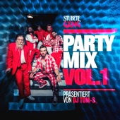 Party Mix, Vol. 1 (präsentiert von DJ Tom-S) artwork