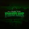 Fireflies (feat. K1ng Dr3 & R Vela) - Single album lyrics, reviews, download
