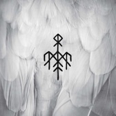 Solringen (First Flight of the White Raven LIVE) artwork