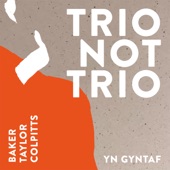 Trio Not Trio - Yn Gyntaf artwork