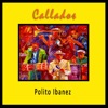 Polito Ibañez - Descubrirte a Ti