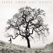 Jesse Cook - Shake