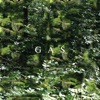 Gas - Der Lange Marsch 9
