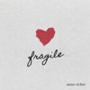 Fragile - Single