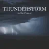 Thunderstorm in the Forest album lyrics, reviews, download