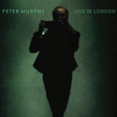 Peter Murphy Live In London - ピーター・マーフィ