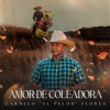 Amor De Coleadora - Single