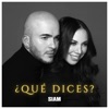 ¿Qué Dices? - Single