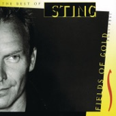 Sting - Why Should I Cry For You? - Fields Of Gold Remix