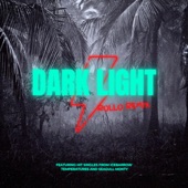 Night Lovell - Dark Light (Rollo) [Remix] artwork