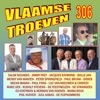 Vlaamse Troeven volume 306