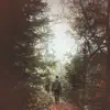 Stream & download Evening Walk In the Forest with Footsteps and Animal Sounds - Single