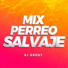 DJ GROOT - Mix Perreo Salvaje