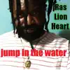 Jump In the Water - Single album lyrics, reviews, download