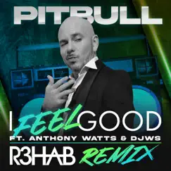 I Feel Good (feat. Anthony Watts & DJWS) [R3HAB Remix] Song Lyrics