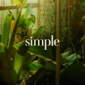 Simple (Acústico) - EP artwork