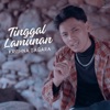 Tinggal Lamunan - Single