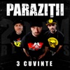 3 Cuvinte - Single