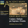 Gaetano Nasillo, Ensemble 415 & Chiara Banchini - Sinfonia a violino e violoncello