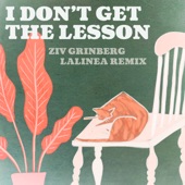 I Don't Get the Lesson - Lalinea Remix artwork