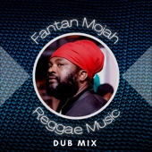 Reggae Music Dub Mix artwork