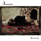Soraia - I Seek Fire