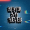 Never Say Never - Single