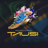 Tausi artwork