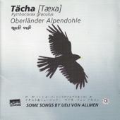 Tächa artwork