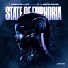 State Of Euphoria - Single