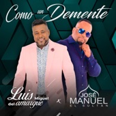 COMO UN DEMENTE (feat. LUIS MIGUEL DEL AMARGUE) artwork