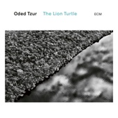 Oded Tzur - The Lion Turtle