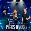 Te troquei pelos bares (Ao Vivo) - Single