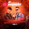 Baú do Cupido, Vol. 1