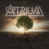 Warrior in the Garden - Single