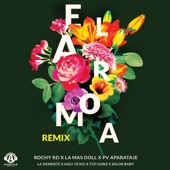El Aroma (feat. La Demente, Kaly Ocho, Tivi Gunz & Dilon Baby) [Remix] artwork