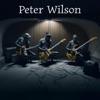 Peter Wilson