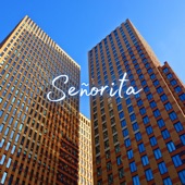 Señorita (Slowed & Reverb) artwork