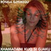 Xhamadani Kuq Si Gjaku - Single