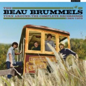 The Beau Brummels - Don't Make Promises (Stereo Mix)