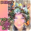 Your Little Bird - Single