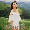 Dorul - Single