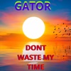 Dont Waste My Time - Single