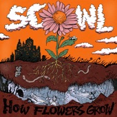 How Flowers Grow artwork