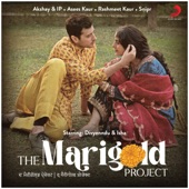 The Marigold Project - EP artwork