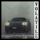 Volatile artwork