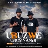 Ubuzwe Ubumnandi (feat. Mlwazino, S kay De Vibe, Siya Sindane & Mshengu no Tata) artwork