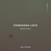 Forbidden Love (Jabarov Remix) artwork