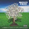 Money Tree (feat. Tmo Da King & Vonny Guapo) - OnlyReal Obeezy lyrics