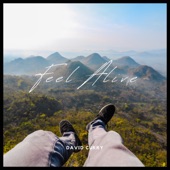 Feel Alive artwork